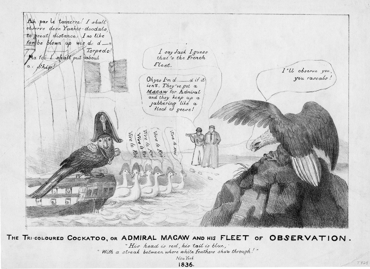 The Tri-Coloured Cockatoo, or, Admiral Macaw and His Fleet of Observation by American School
