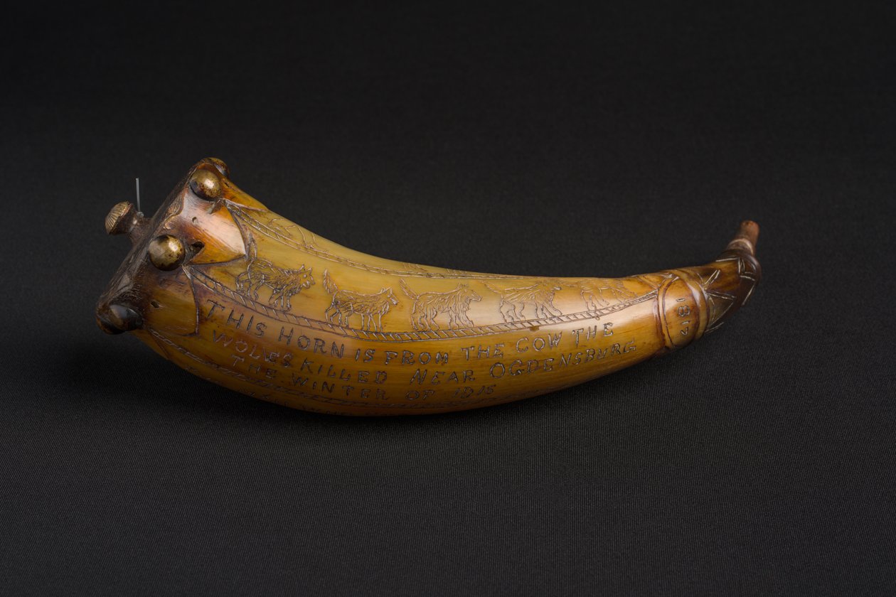 Unknown Image by American School