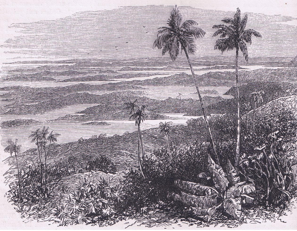 View of the Bermudas, illustration from Cassell