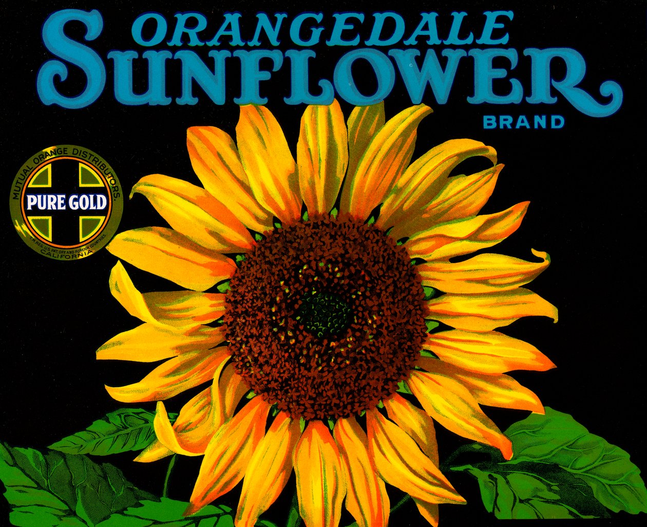 Vintage Sunflower Fruit Crate Label by American School