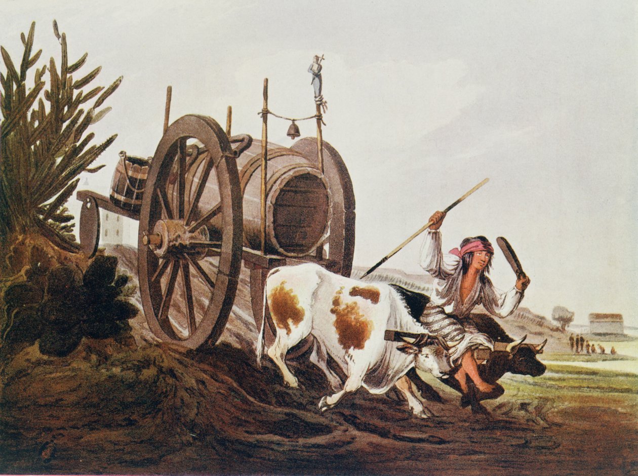 Water cart, reproduced from Vidals Picturesque Illustrations of Buenos Aires and Montevideo, pub. in 1820, from The Romance of the River Plate, Vol. I, by W. H. Koebel, 1914 by American School