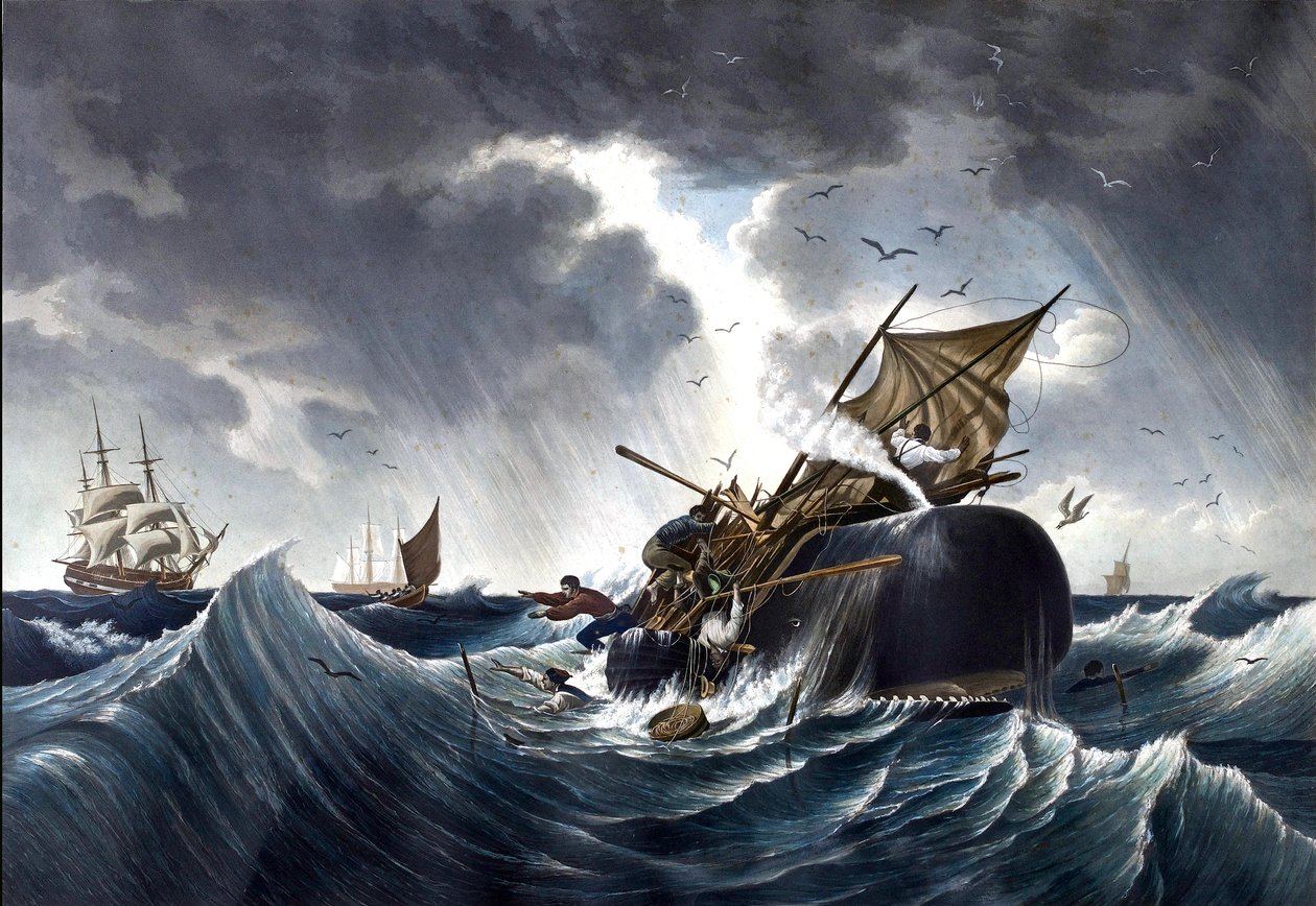 Whale Destroying Whaling Ship, c.1875 by American School