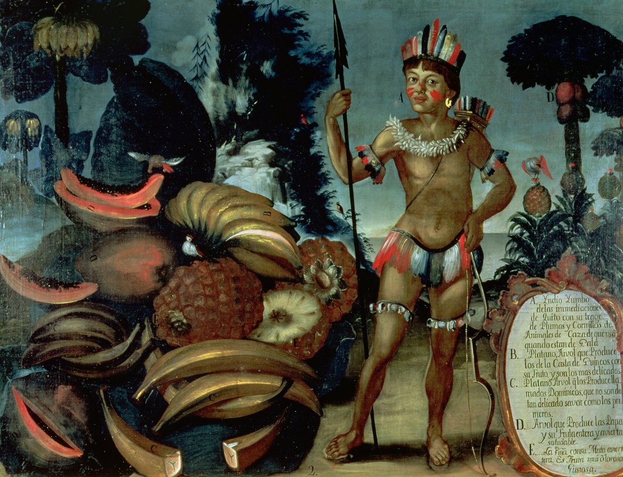 Yumbo Indian from the neighbourhood of Quito, Ecuador, with various fruits and trees by American School