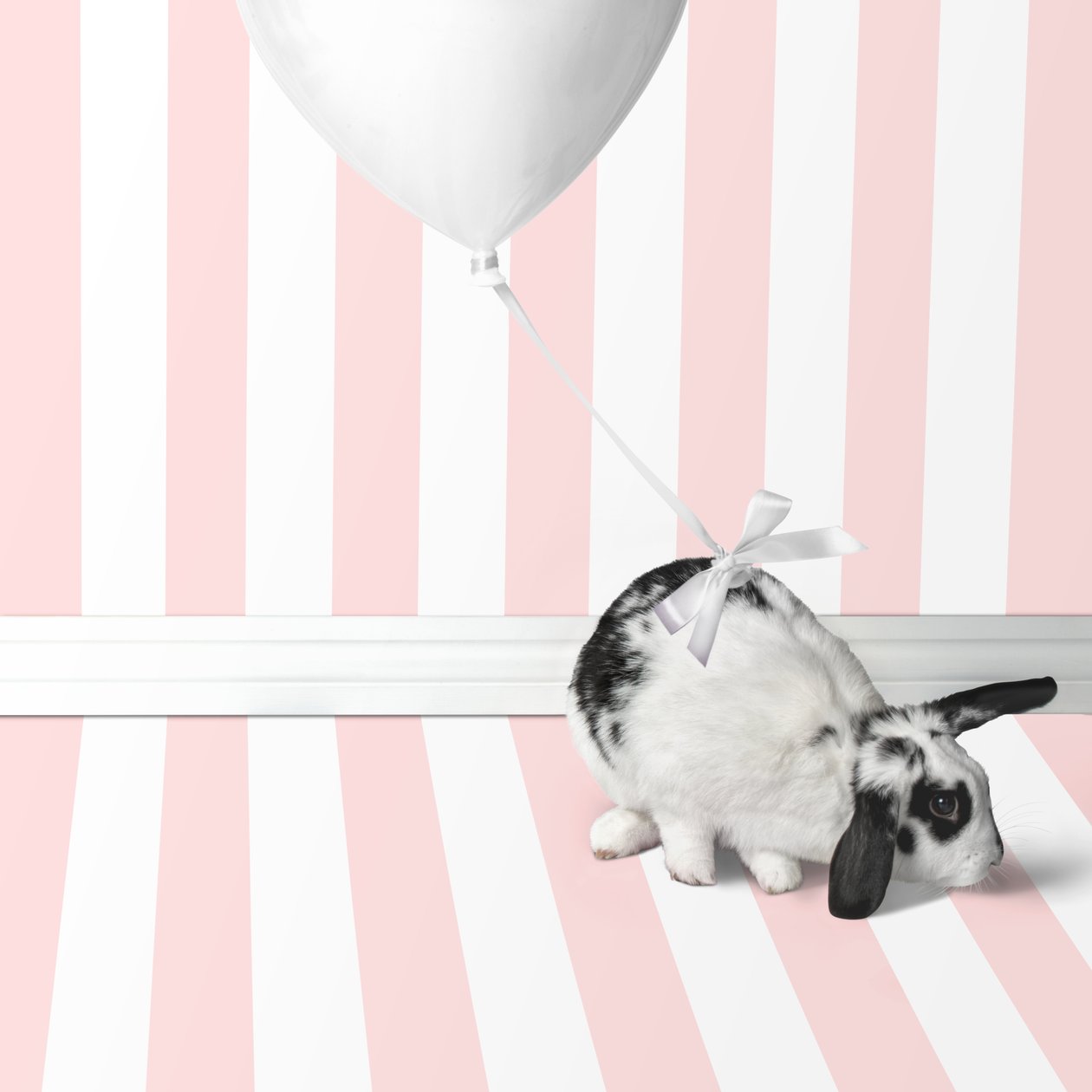 Bunnies 04, 2018 by Ana Carolina Tavares Mizrahi