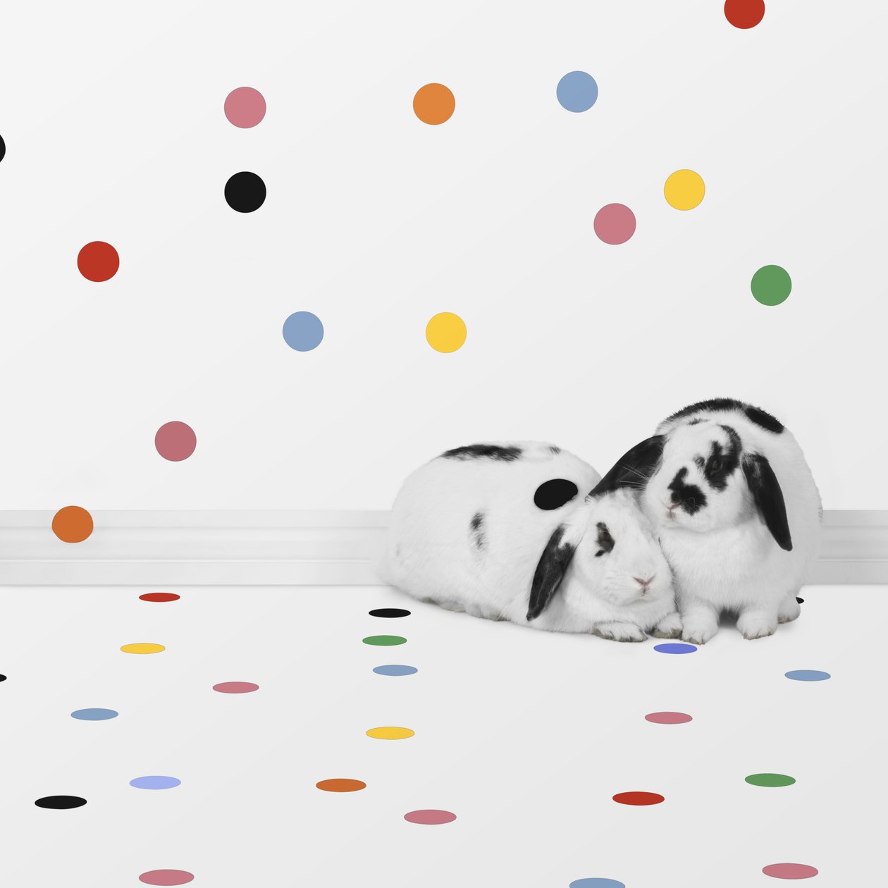 Bunnies 05, 2018 by Ana Carolina Tavares Mizrahi