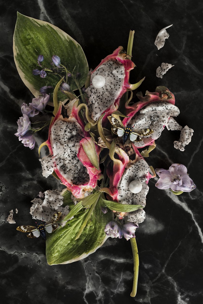 Eve 08, 2016 by Ana Carolina Tavares Mizrahi