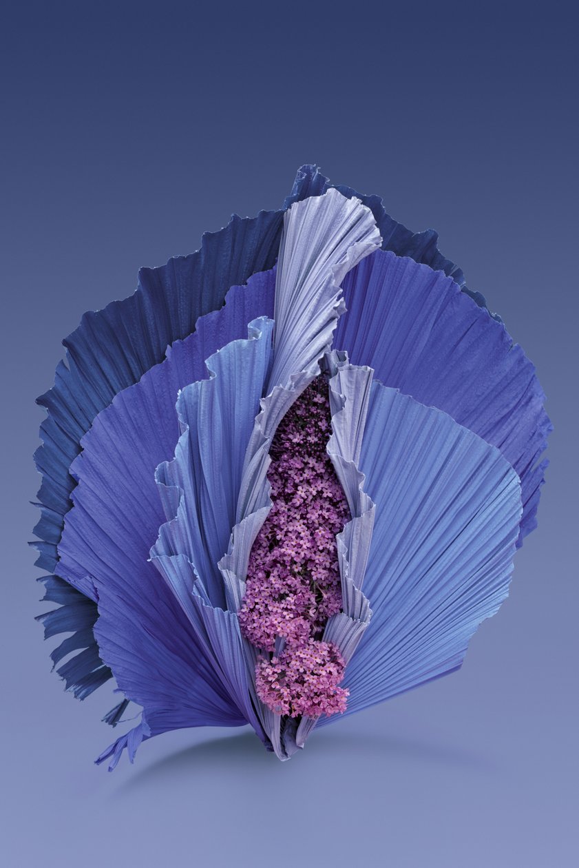 Ikebana 11, 2018 by Ana Carolina Tavares Mizrahi