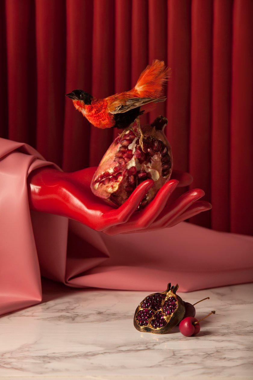 Rubi_07, 2015 by Ana Carolina Tavares Mizrahi