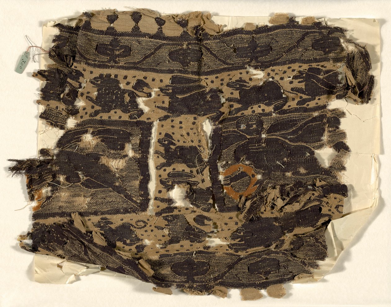 Fragments by Ancient Egyptian
