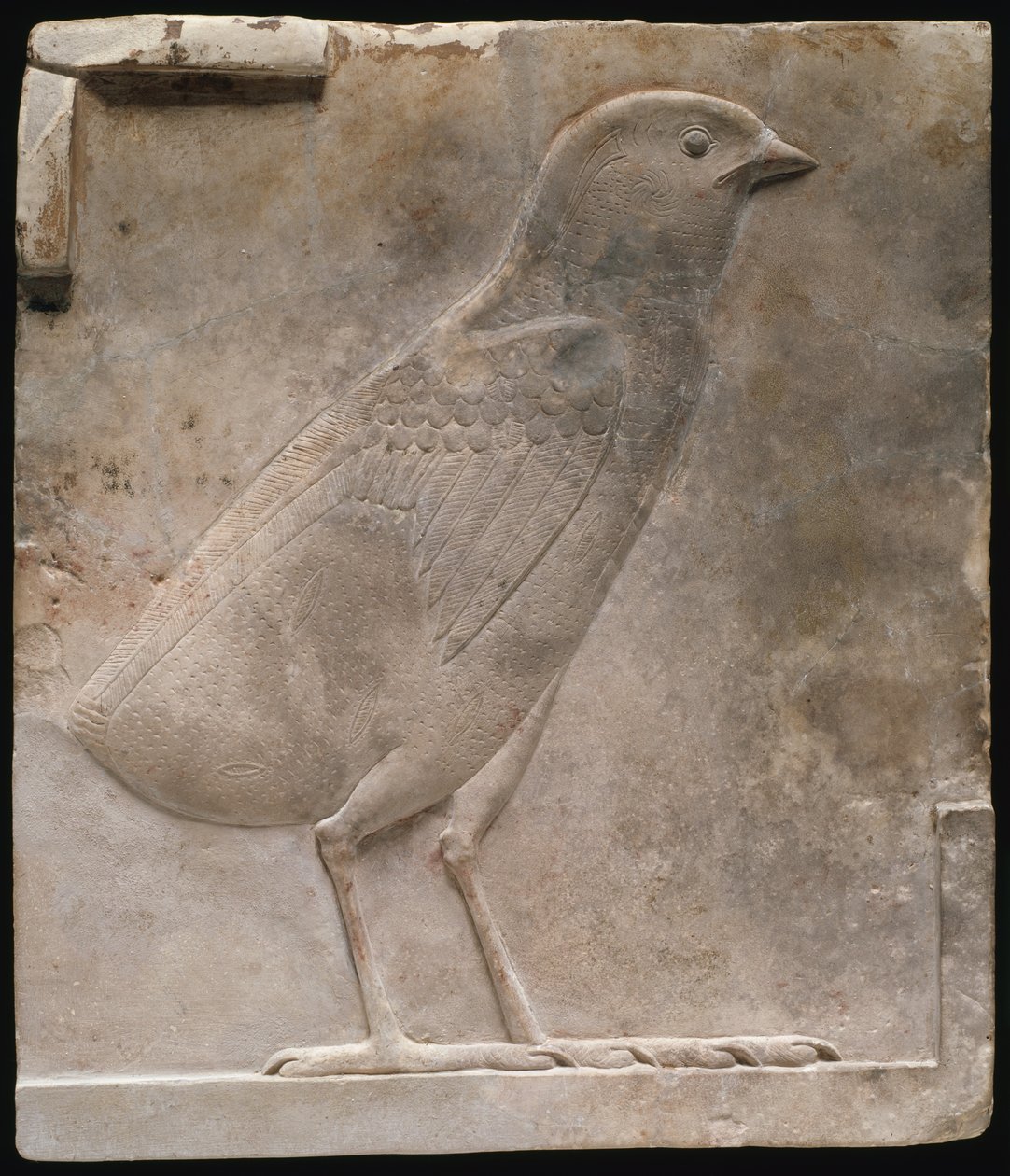 Plaque Depicting a Quail Chick by Ancient Egyptian