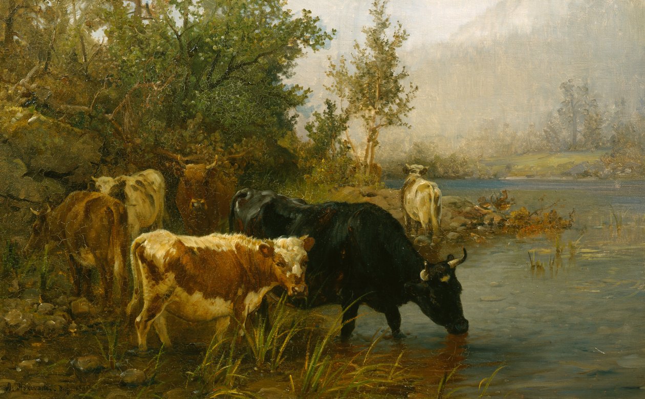 Cows by the Water by Anders Askevold