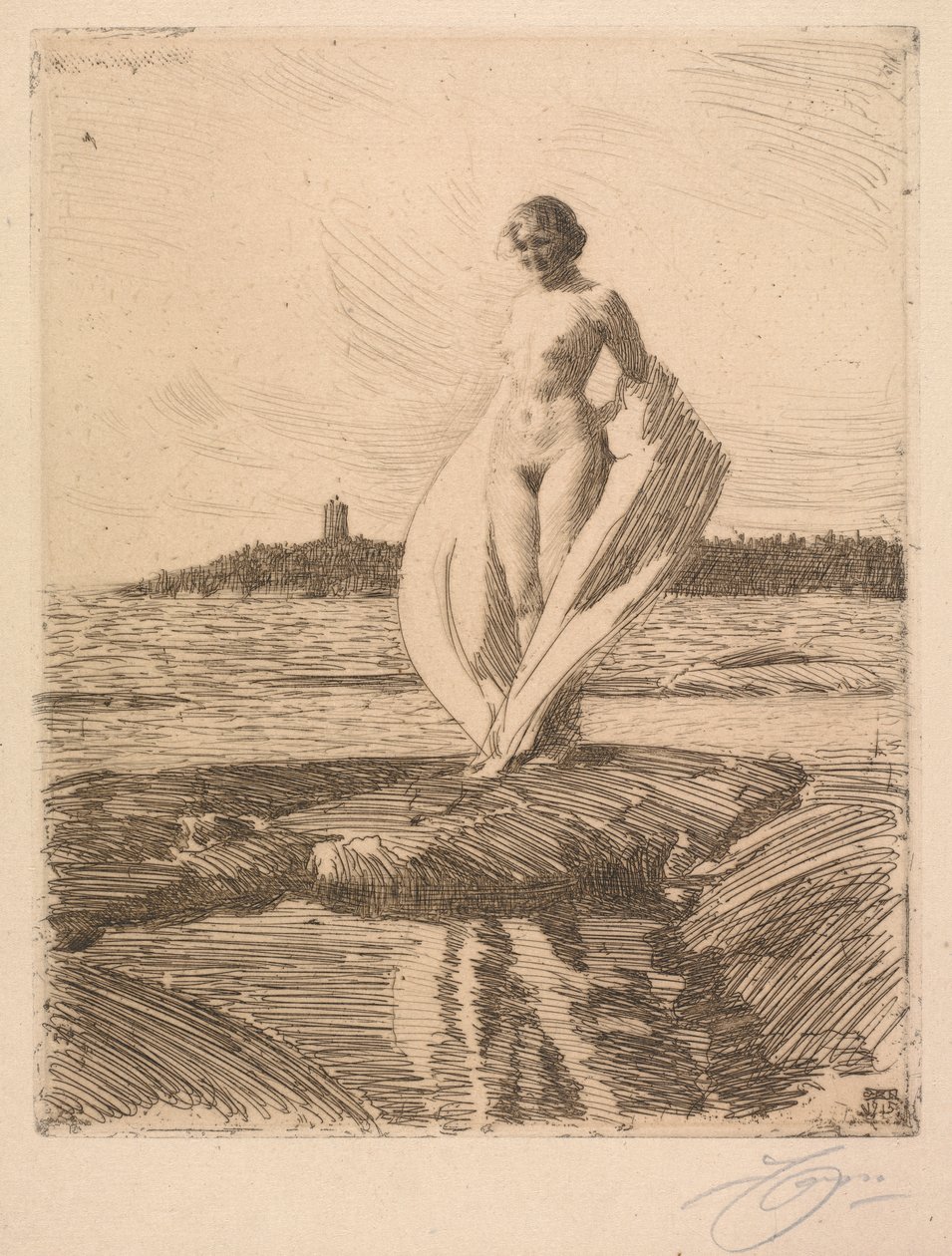 The Swan by Anders Leonard Zorn