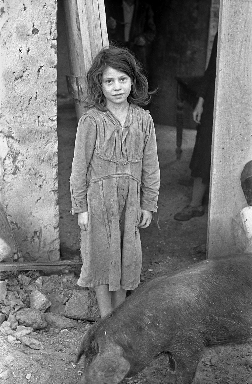 Crotone Countryside - Girl and Pig by Ando Gilardi