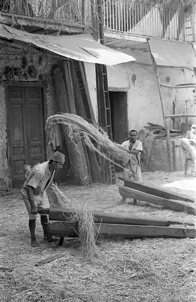 Hemp Processing, Stretching and Rolling by Ando Gilardi