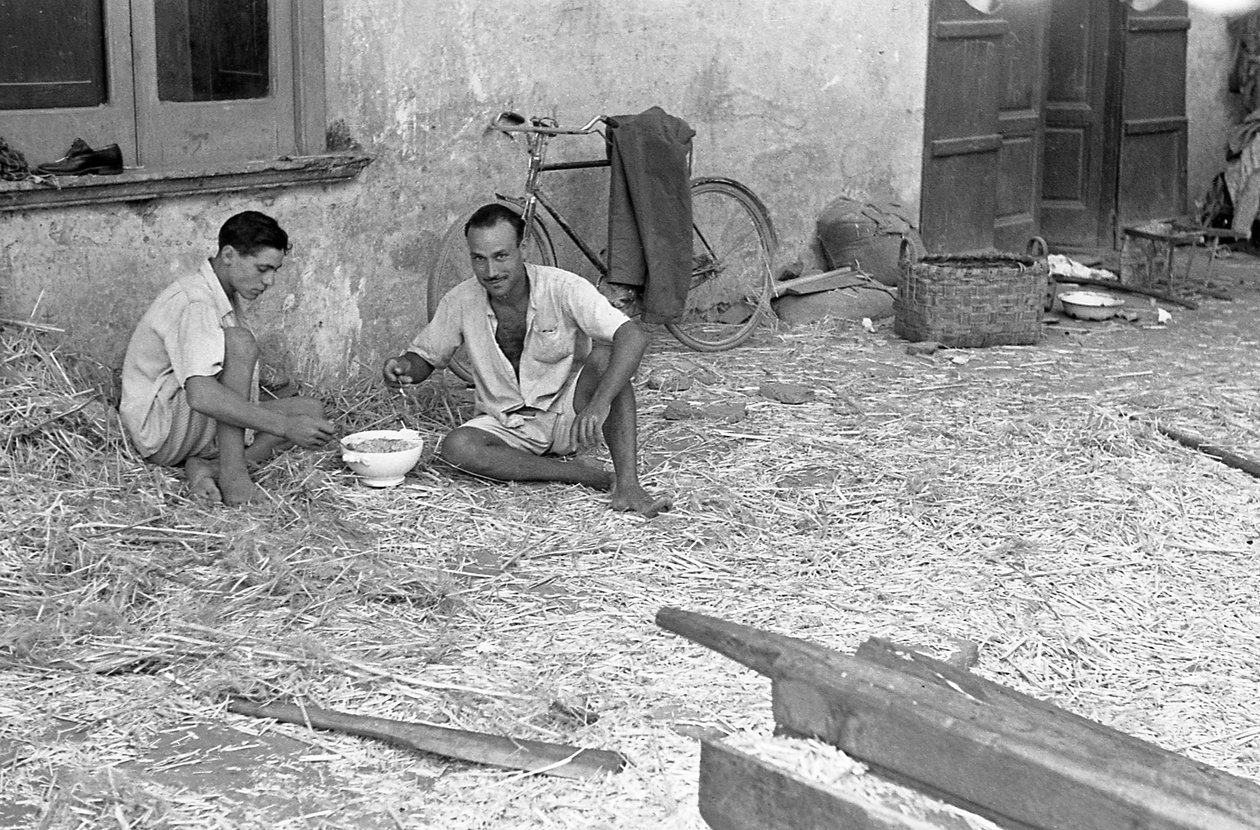 Hemp Processing, Shared Soup by Ando Gilardi