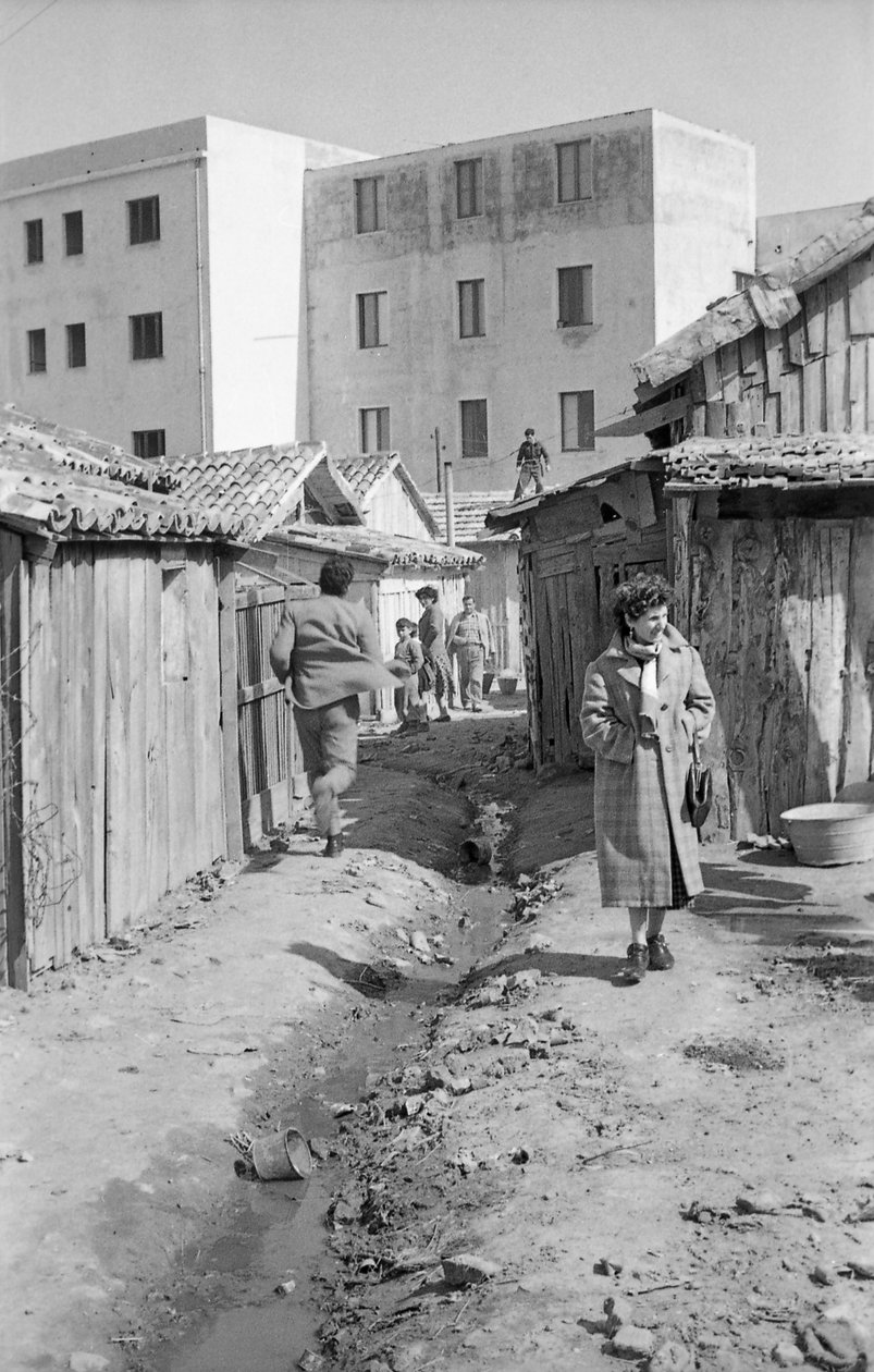 Shacks and Buildings by Ando Gilardi