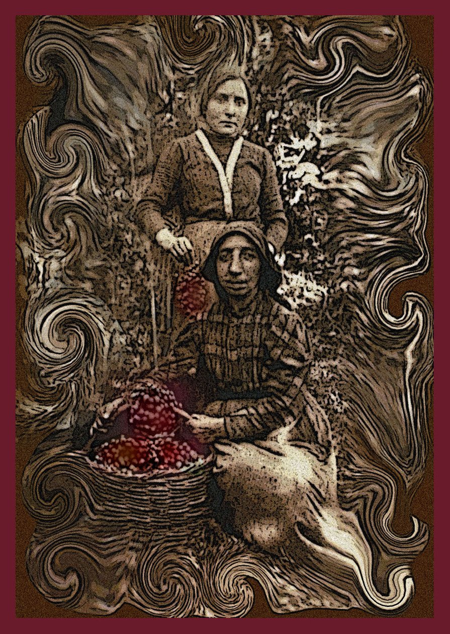 The Sirens of Vine by Ando Gilardi