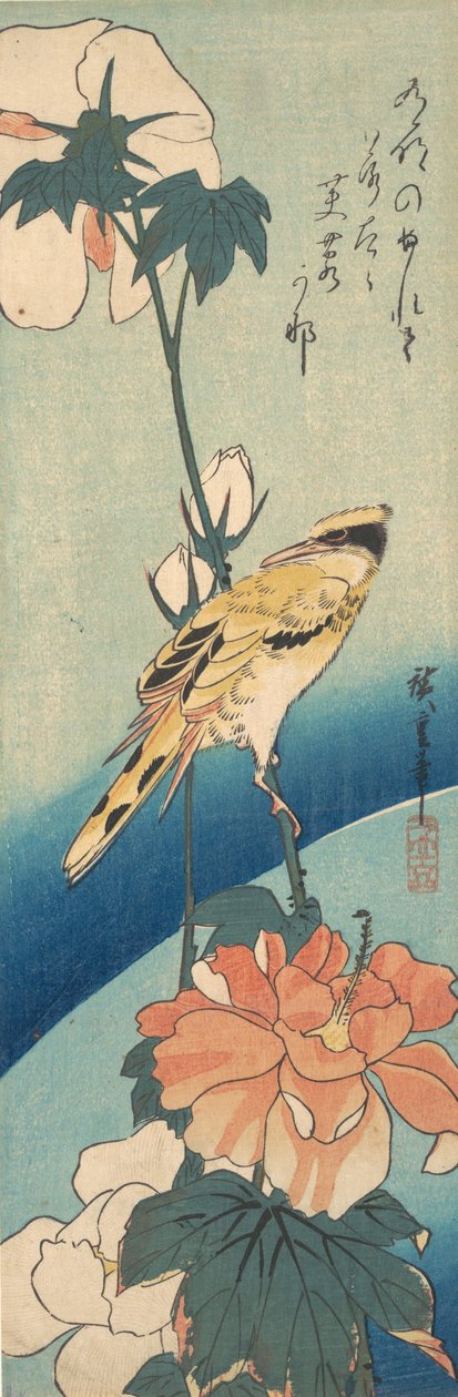 A Black-Naped Oriole on a Stem of Rose Mallow by Ando Hiroshige