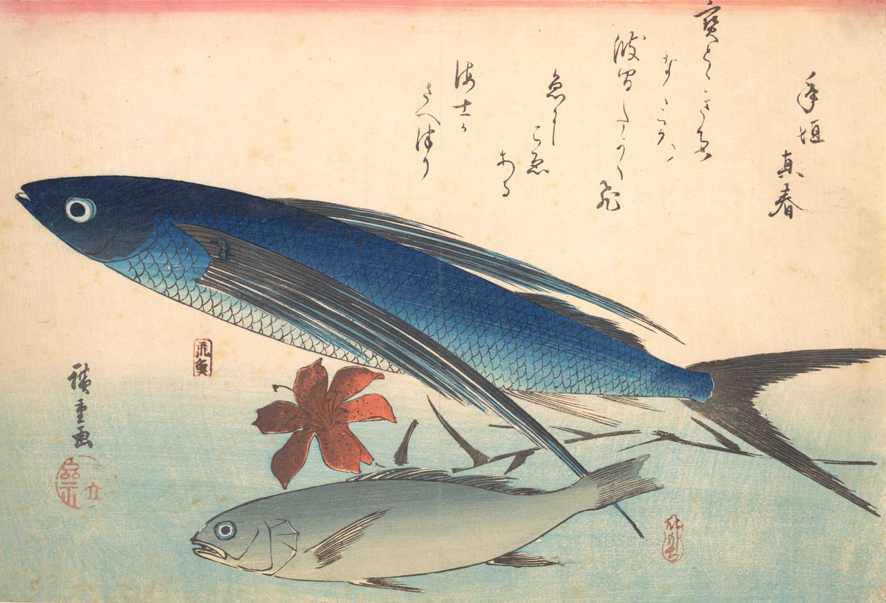 Tobiuo and Ishimochi Fish, from the series Uozukushi Every Variety of Fish by Ando Hiroshige