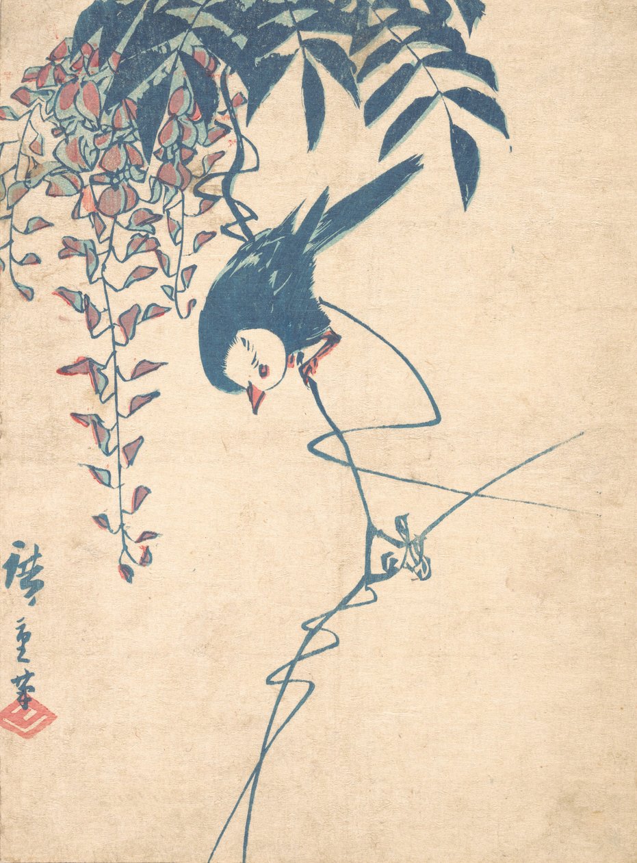Wisteria and White-headed Bird by Ando Hiroshige