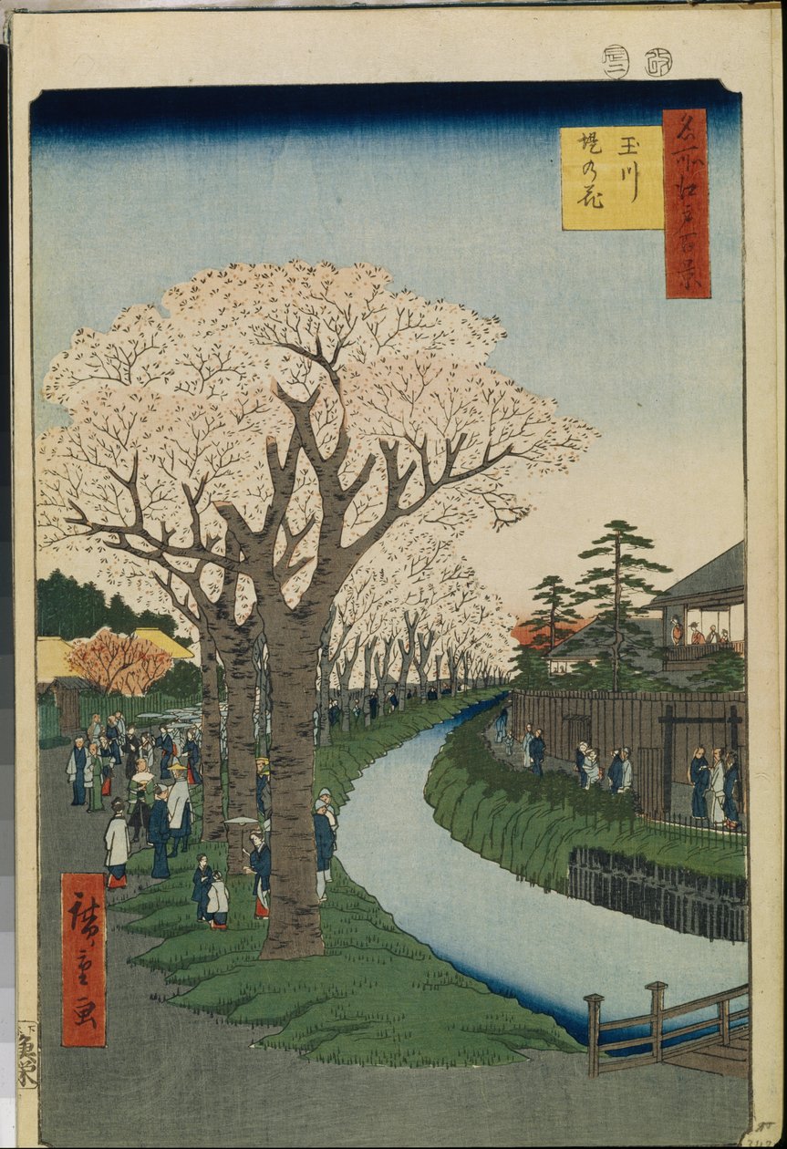 One Hundred Famous Views of Edo: Cherry Blossoms on the Banks of the Tama River by Ando or Utagawa Hiroshige