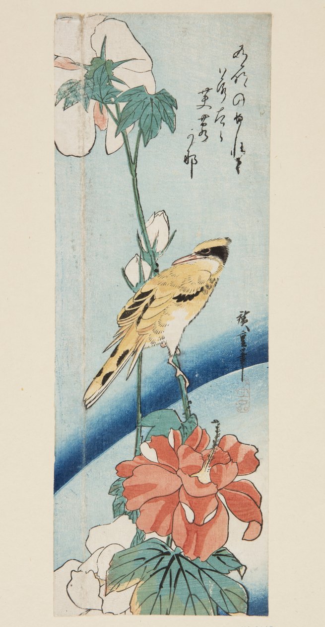 Hibiscus and Black-naped Oriole by Ando or Utagawa Hiroshige