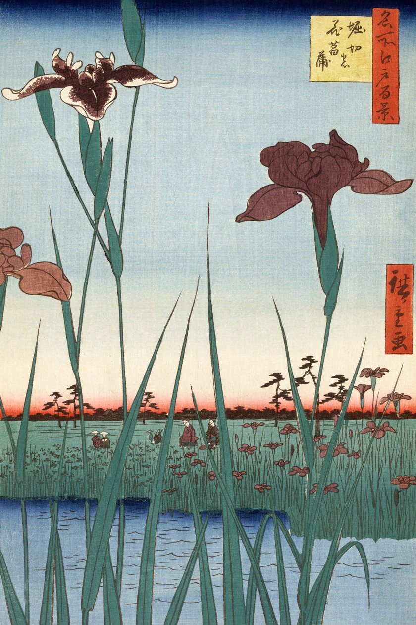 Horikiri Iris Garden by Utagawa Hiroshige by Ando or Utagawa Hiroshige