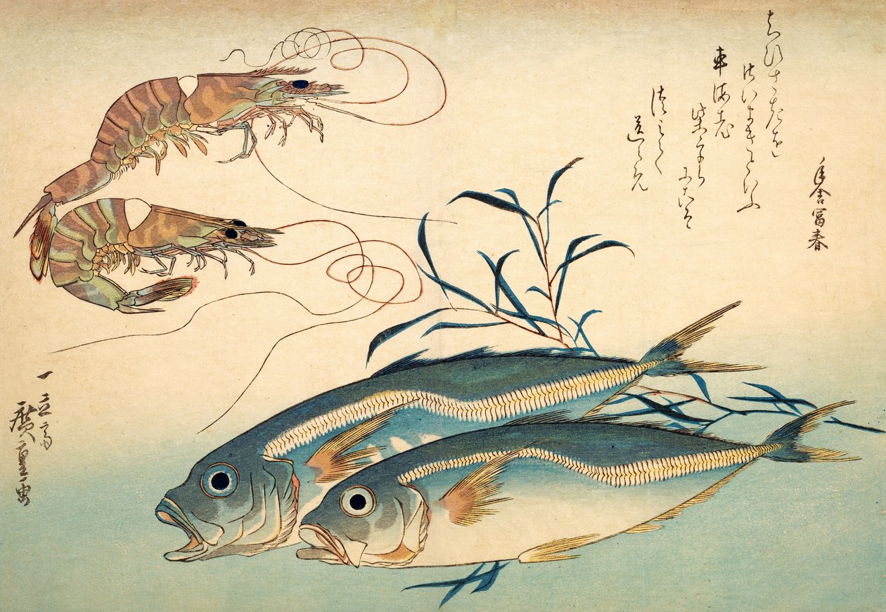 Japanese Horse Mackerel and Japanese Tiger Prawn by Ando or Utagawa Hiroshige