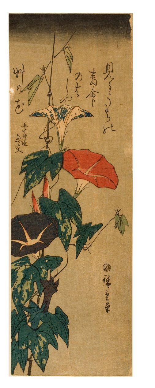 Morning Glories, c.1843-47 by Ando or Utagawa Hiroshige