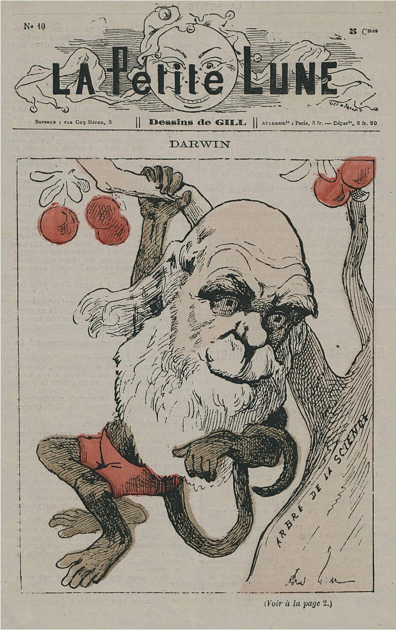 Darwin as Monkey on La Petite Lune by Andre Gill