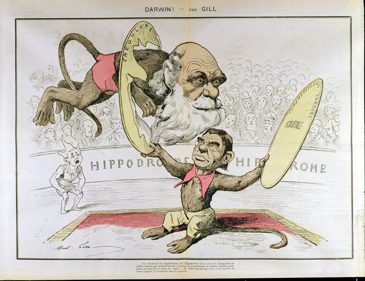 Caricature of Charles Darwin and Emile Littre as Performing Monkeys at a Circus by Andre Gill