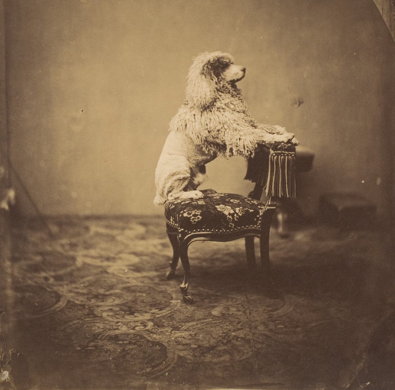 Empress Eugénie