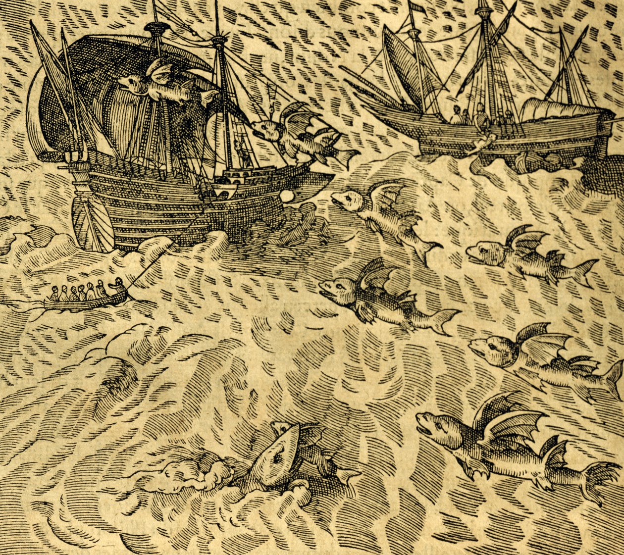 Flying Fish in Tropical Seas, Engraving from Cosmographie Universelle by Andre Thevet by Andre Thevet