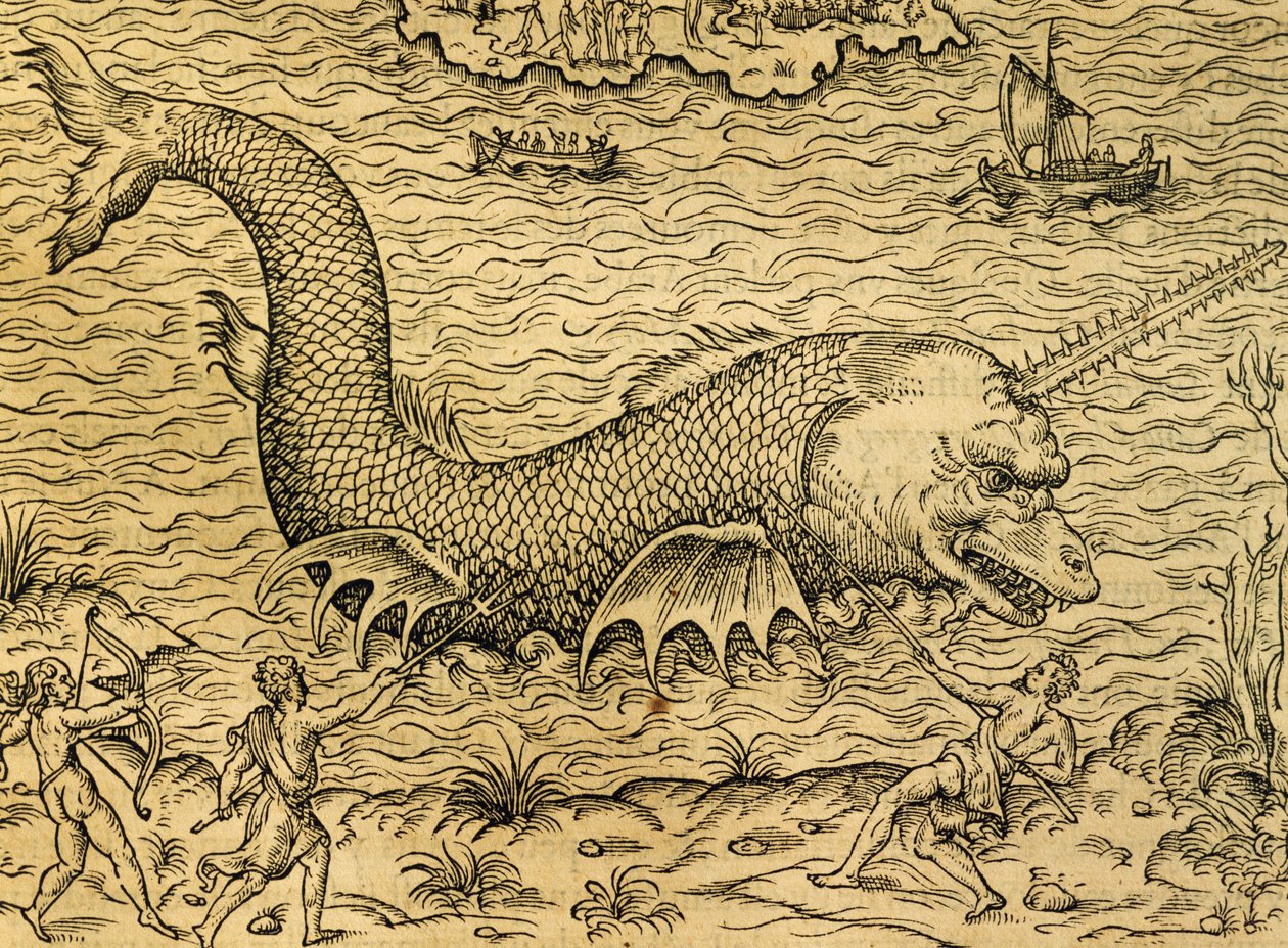 Sea monster, engraving from Universal Cosmology by Andre Thevet