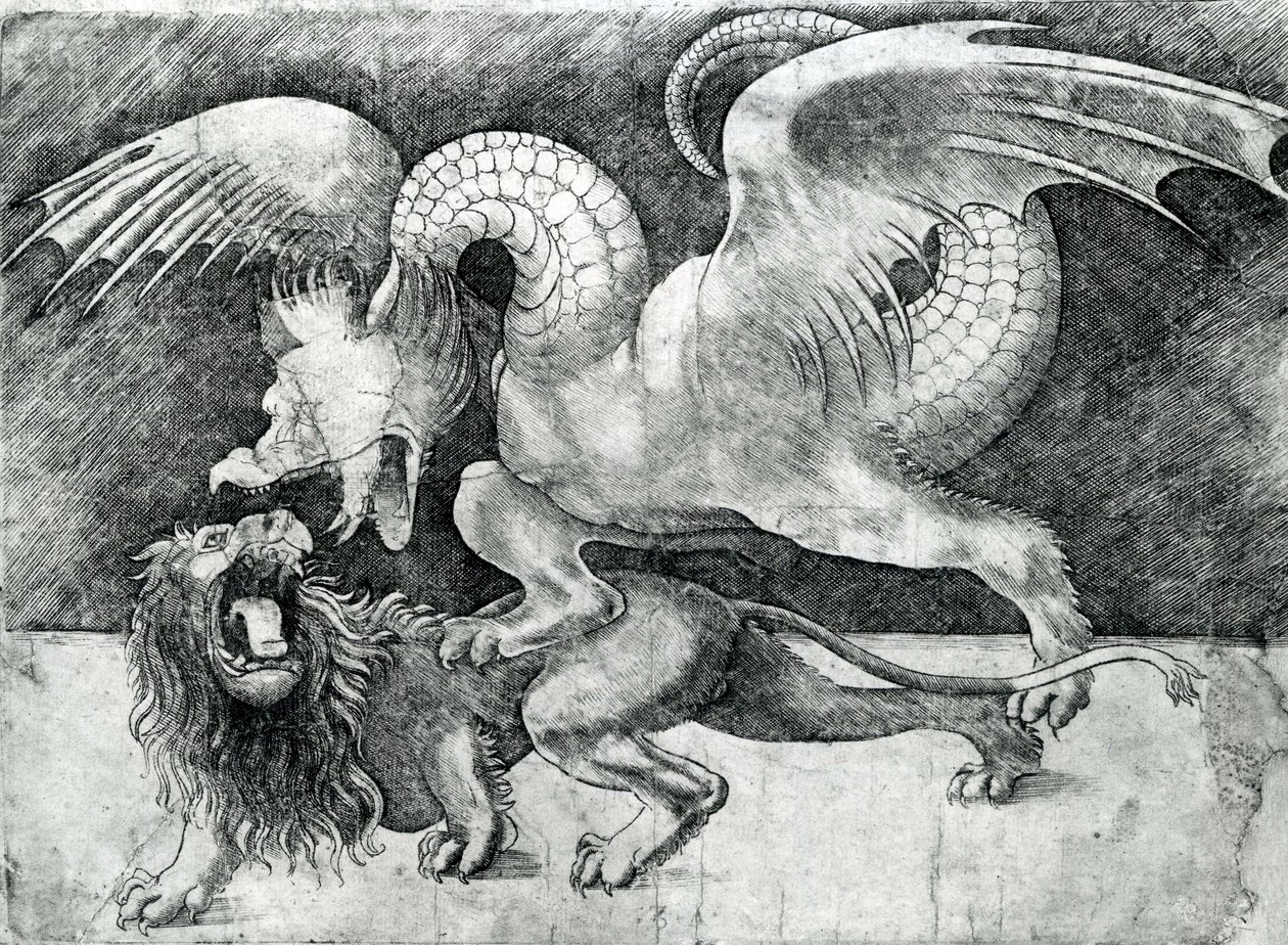 Dragon Fighting a Lion by Andrea Zoan