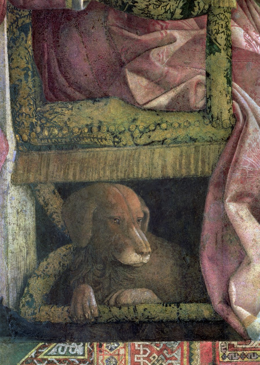 Rubino, the favourite dog of Marchese Ludovico Gonzaga III and his family: (detail) by Andrea Mantegna