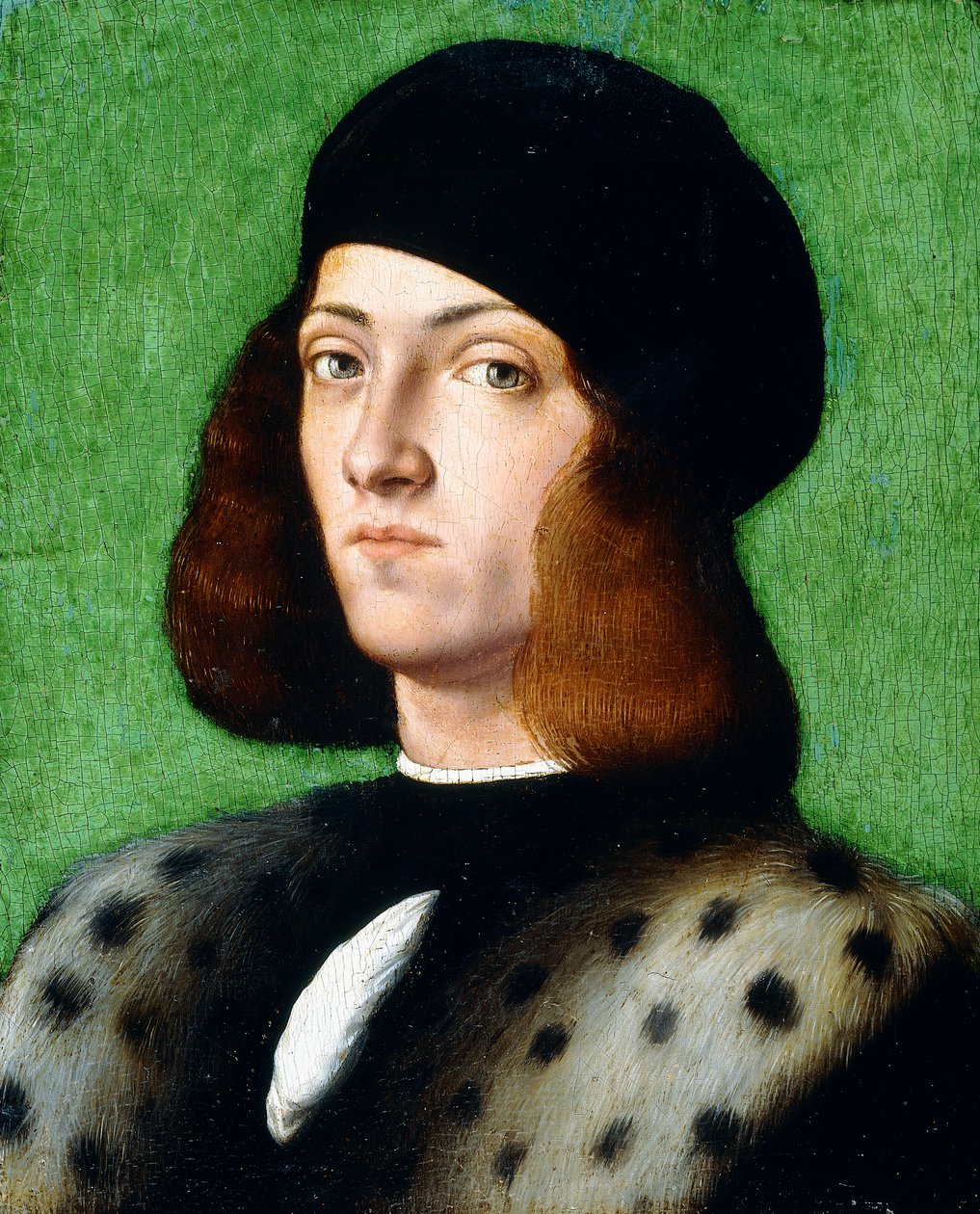 Portrait of a young Gentleman, bust-length, wearing a black cap and black coat by Andrea Previtali