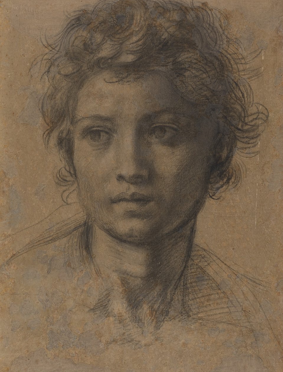 Head of Saint John the Baptist by Andrea del Sarto