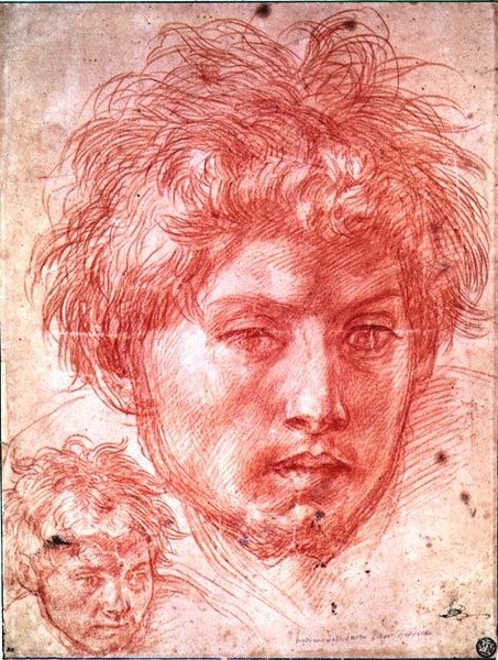 Head of a Man by Andrea del Sarto