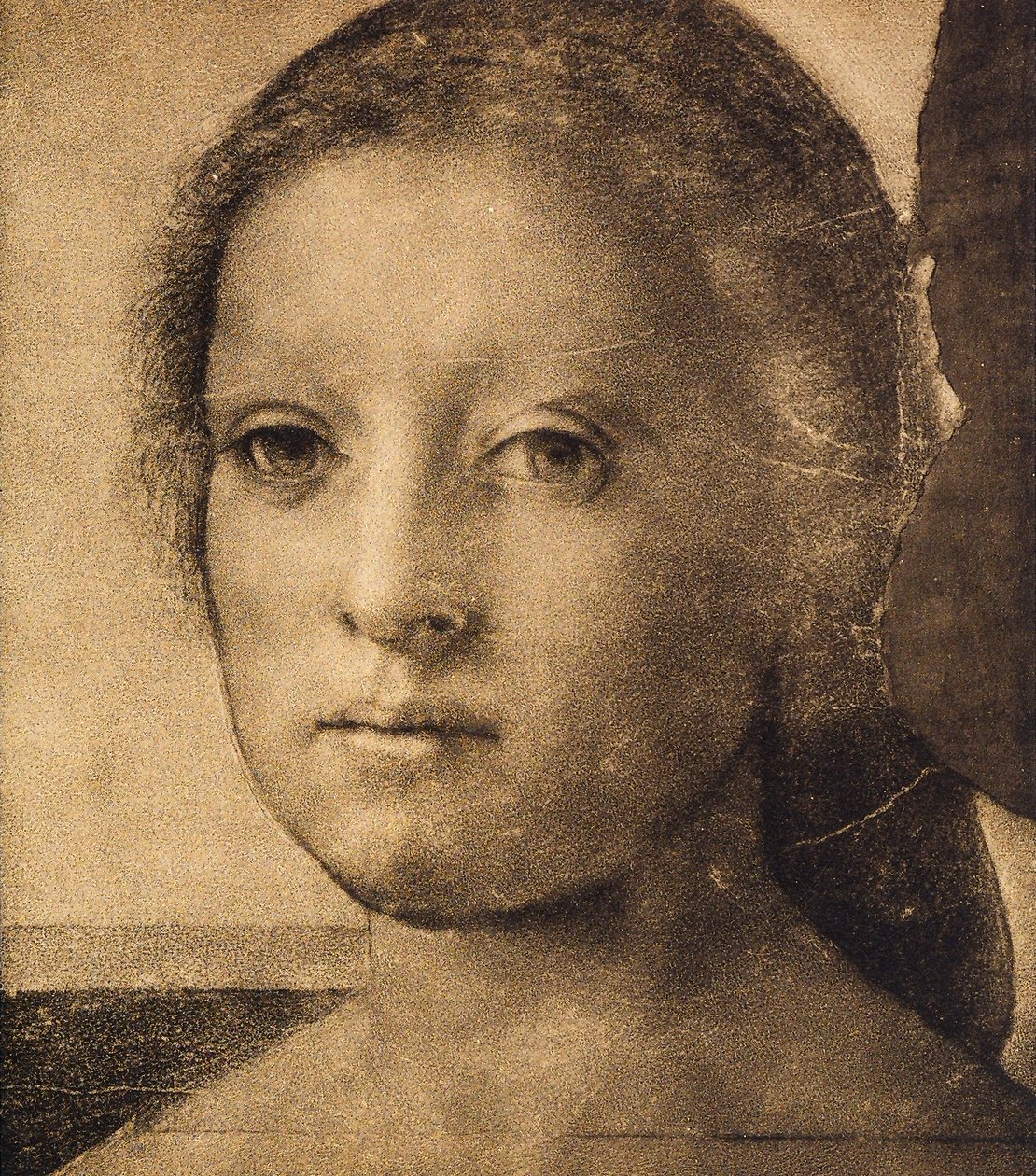 Head of a Young Woman, Drawing by Andrea del Sarto by Andrea del Sarto