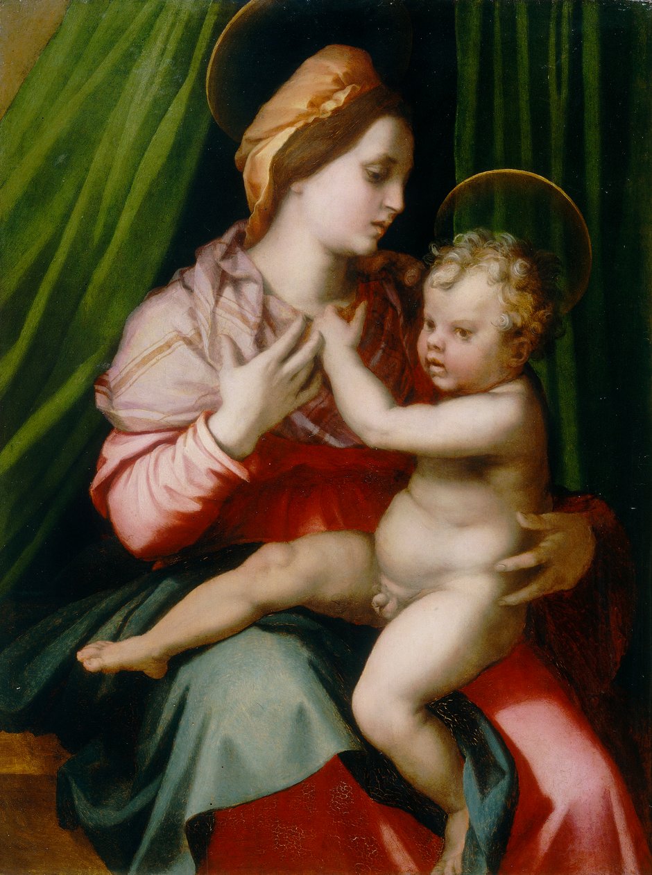 Madonna with Child by Andrea del Sarto