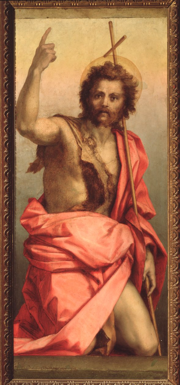 Saint John the Baptist, Altarpiece of St. Agnes by Andrea del Sarto
