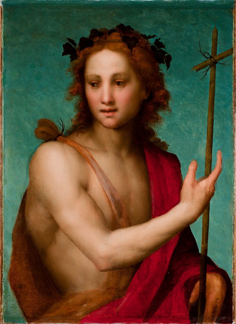 St. John the Baptist by Andrea del Sarto