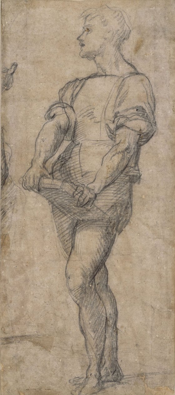 Standing youth holding a book, ca 1515 by Andrea del Sarto