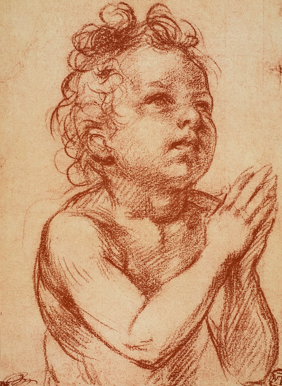 Young Boy Praying by Andrea del Sarto