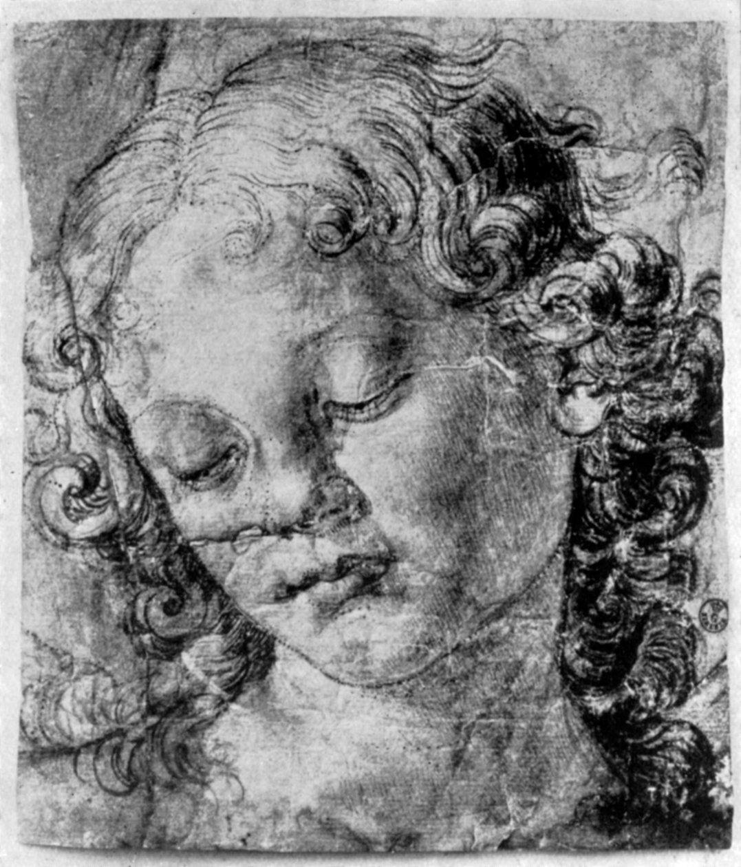 The head of an angel, 15th century by Andrea del Verrocchio