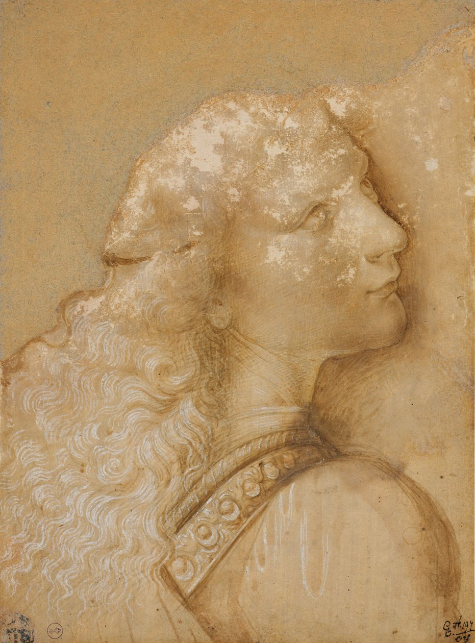 Bust of a young man, study for the angel of the Baptism of Christ of Verrocchio, c. 1475 by Andrea del Verrocchio