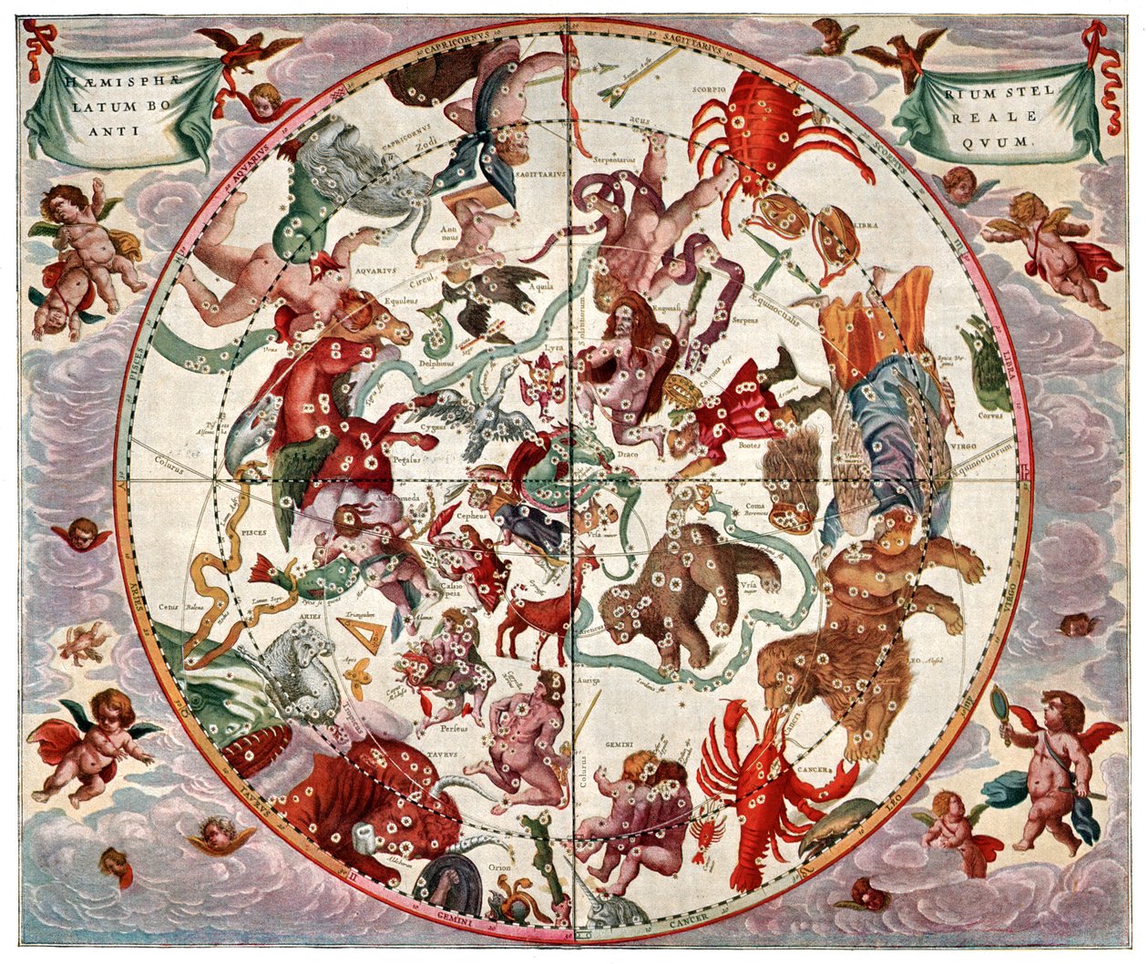 Celestial Planisphere: Northern Hemisphere by Andreas (after) Cellarius