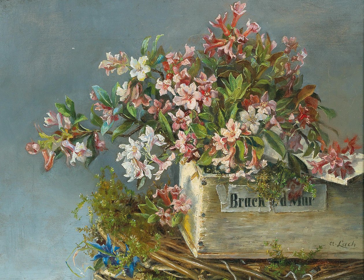 Alpine Roses in a Window Box by Andreas Lach