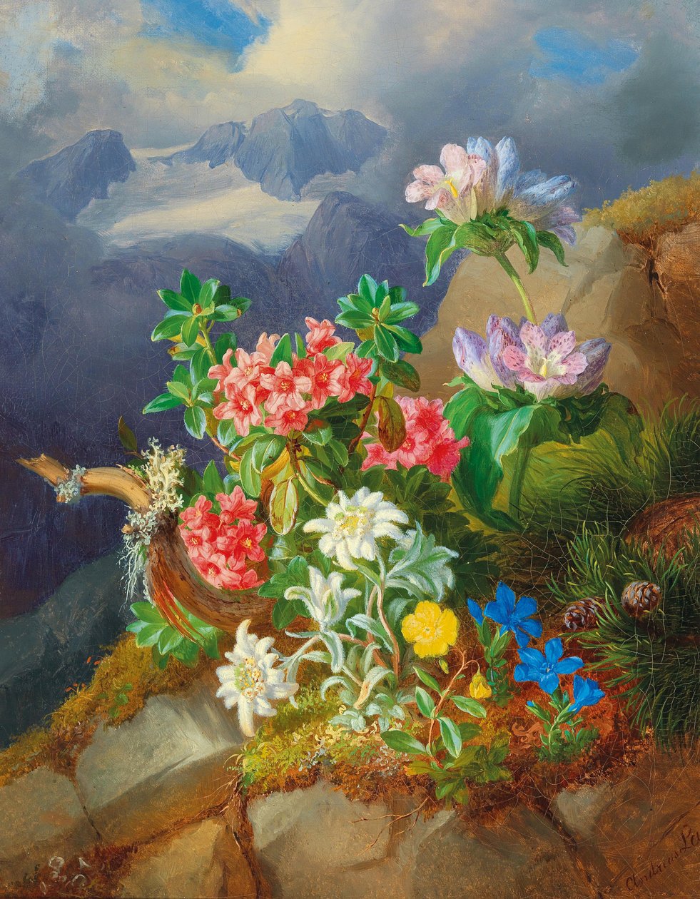 Alpine Flowers by Andreas Lach